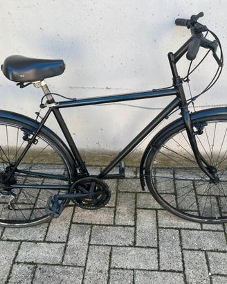 Bicicletta da uomo