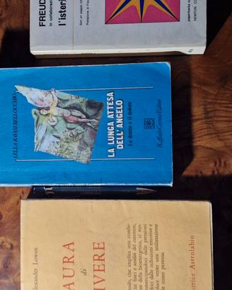 Libri di Lowen Freud e di Lella Ravasi Bellocchio