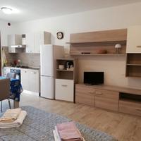 Pisa monolocale vicino Torre/SantaChiara/Santanna