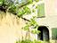 Immagine 19