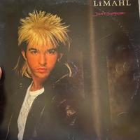 Dischi vinili 33 giri