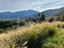 Immagine 29