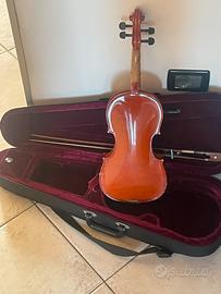 Violino