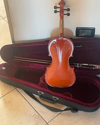 Violino