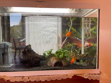 Acquario completo