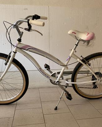 bicicletta