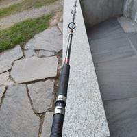 Canna da pesca per siluri o pesca in mare