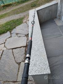 Canna da pesca per siluri o pesca in mare