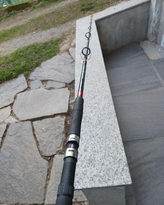 Canna da pesca per siluri o pesca in mare
