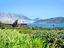 Immagine 26
