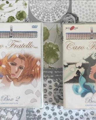 DVD Caro Fratello Yamato Video (Limited Edition)