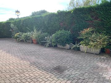 vasi e piante da giardino