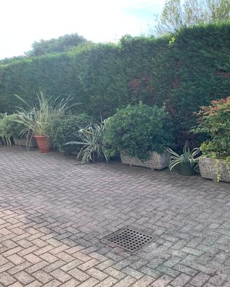 vasi e piante da giardino