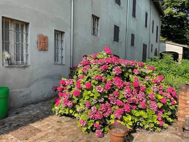 House in Parma, Casello, San Lazzaro - Vista 5