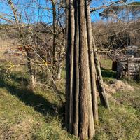 Pali di acacia per recinto