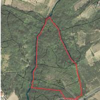 Terreno con rudere Montenovo