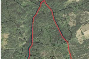 Terreno con rudere Montenovo