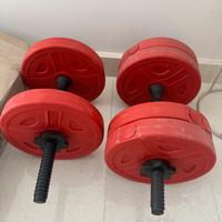 Set di pesi regolabili