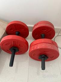 Set di pesi regolabili