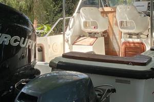 Motore marino yamaha