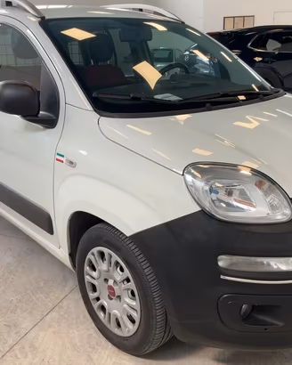 Fiat Panda VAN 1.0 FireFly S&S Hybrid Easy