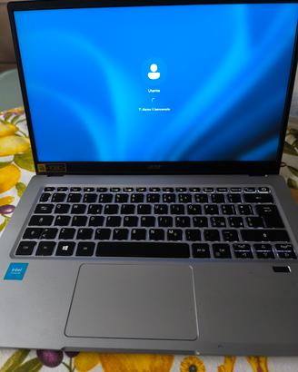 Acer N20H2 PC portatile 