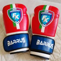 guantoni da boxe