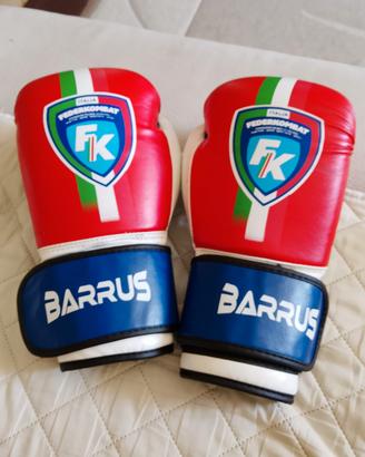 guantoni da boxe