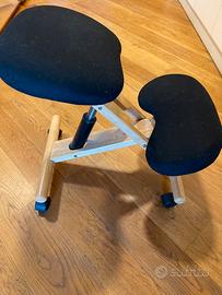 Sedia ergonomica
