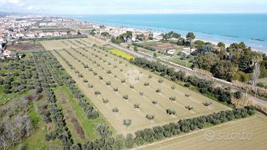 TER. AGRICOLO A ROSETO DEGLI ABRUZZI