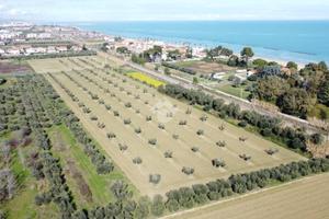 TER. AGRICOLO A ROSETO DEGLI ABRUZZI