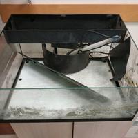 Tartarughiera acquario