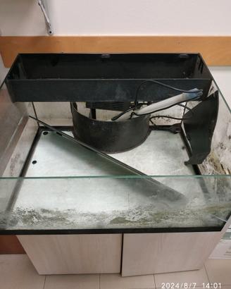 Tartarughiera acquario