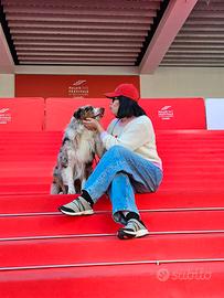 Cercò l'appartamento