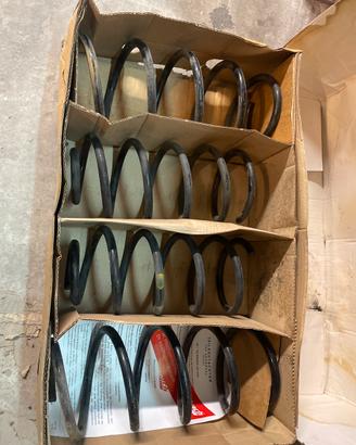 Molle ammortizzatori