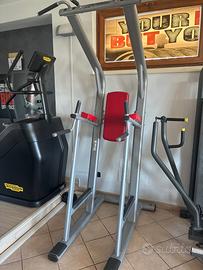 LIFE FITNESS CHIN/DIP/LEG RAISE