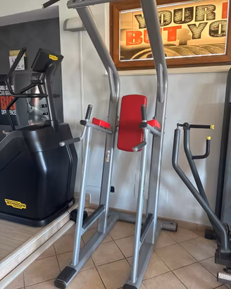 LIFE FITNESS CHIN/DIP/LEG RAISE