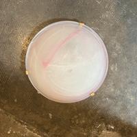 Plafoniera e applique