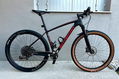 Mtb carbonio sram gx  dtswiss bottecchia pro 29