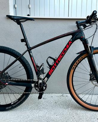 Mtb carbonio sram gx  dtswiss bottecchia pro 29
