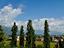 Immagine 6