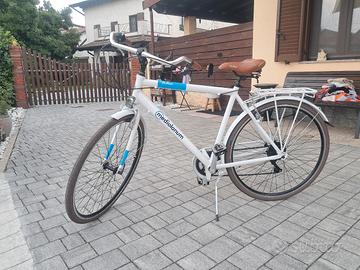 bicicletta da passeggio