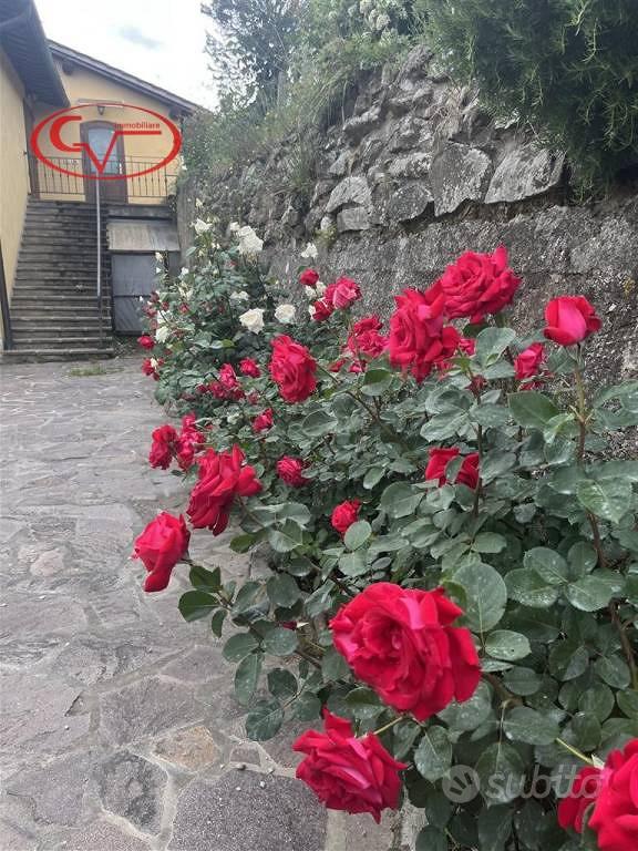 Rustico / Casale di 150 m² con 4 locali a Cavrigli - Altro
