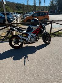 Suzuki gladius 650