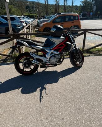 Suzuki gladius 650
