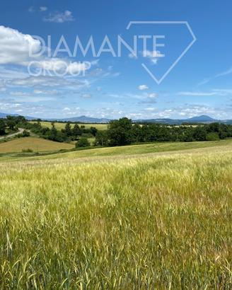 Azienda agricola di 26 ettari di terreno
