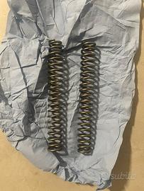Molle forcelle anteriori originali Kawasaki Z750
