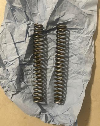 Molle forcelle anteriori originali Kawasaki Z750