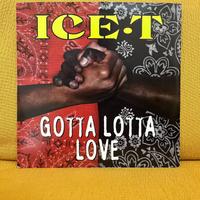 Ice-T "Gotta Lotta Love" disco vinile hip hop rap