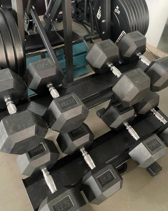 Rastrelliera Rack Manubri e Manubri pesanti